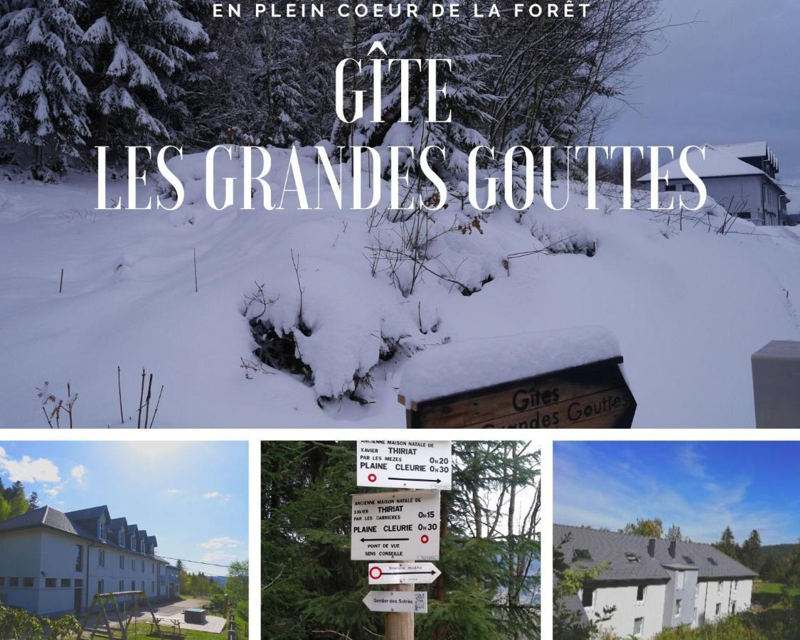 Gites Les Grandes Gouttes Le Syndicat Экстерьер фото